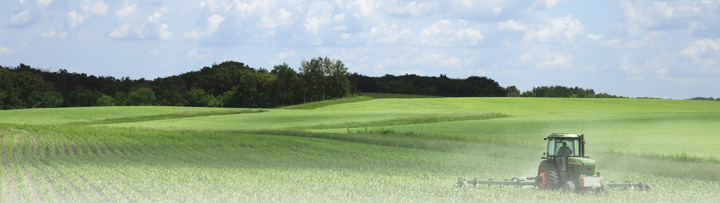 Hurtownia nawozów Mojak